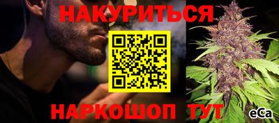 прущие крисы Малгобек