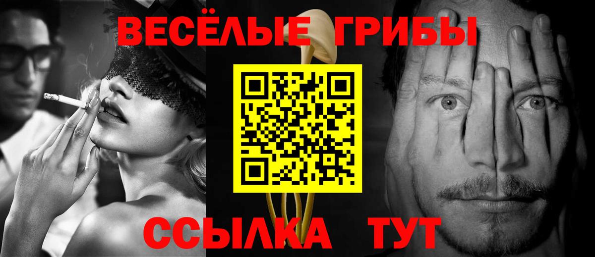 Псилоцибиновые грибы прущие грибы  Вход с VPN  Чистополь 